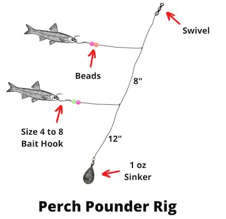 The 7 Best Perch Rigs (Rigging & Fishing Guide) .